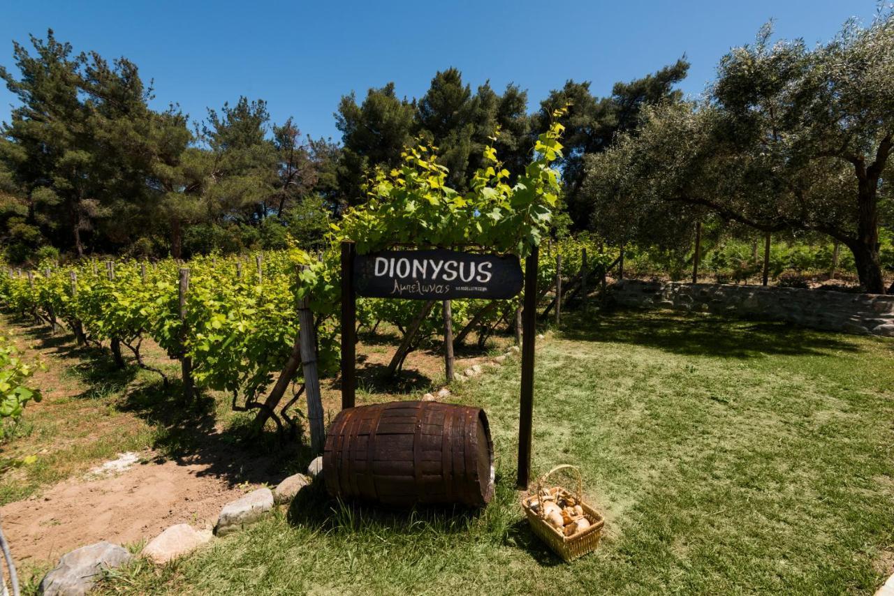 Dionysus Apartments & Suites Ierissos Eksteriør billede