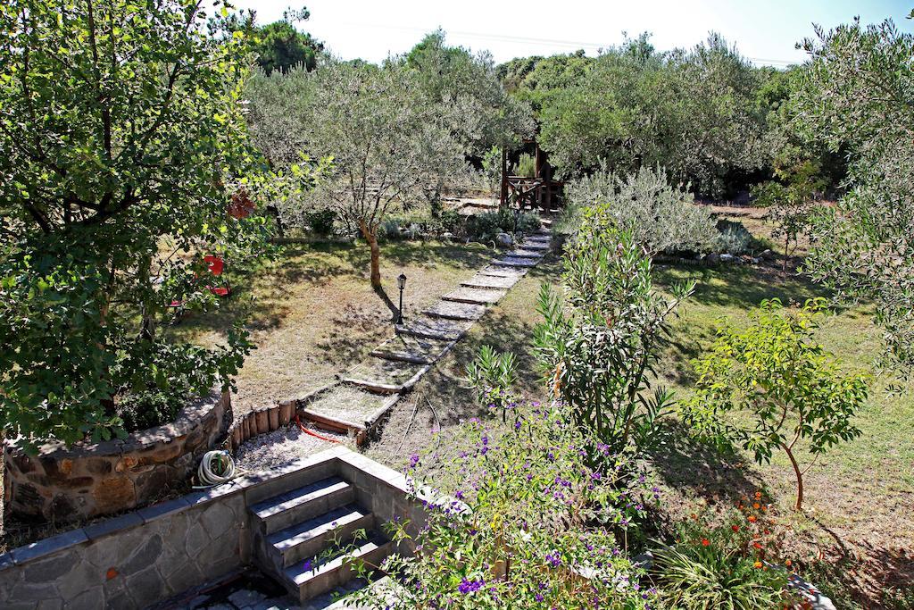 Dionysus Apartments & Suites Ierissos Eksteriør billede